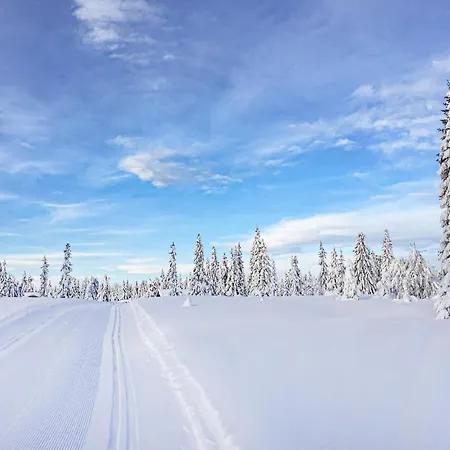 Holiday home 4 Bedroom In Sjusjoen
